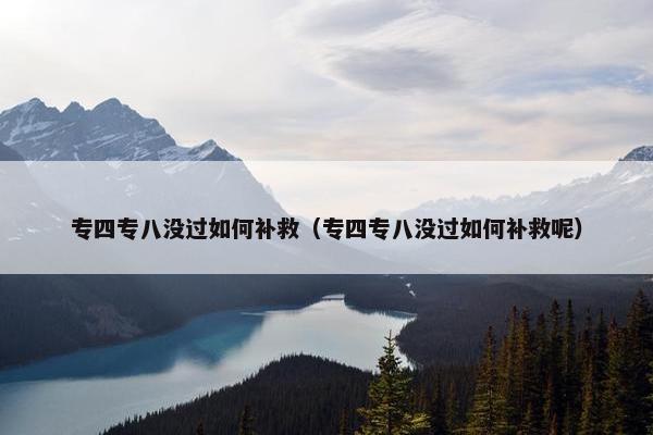 专四专八没过如何补救（专四专八没过如何补救呢）