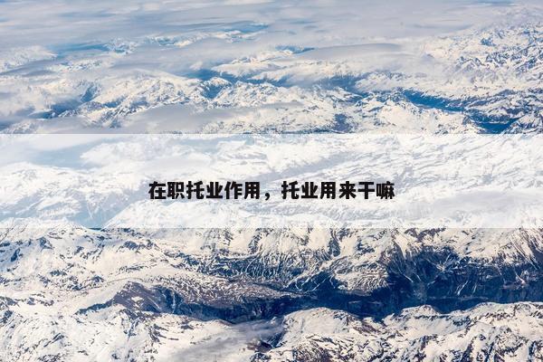 在职托业作用，托业用来干嘛