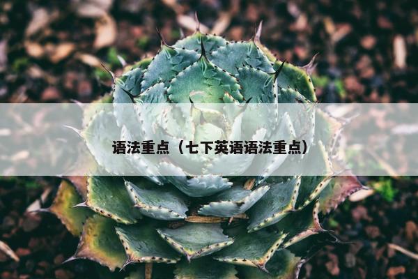 语法重点（七下英语语法重点）