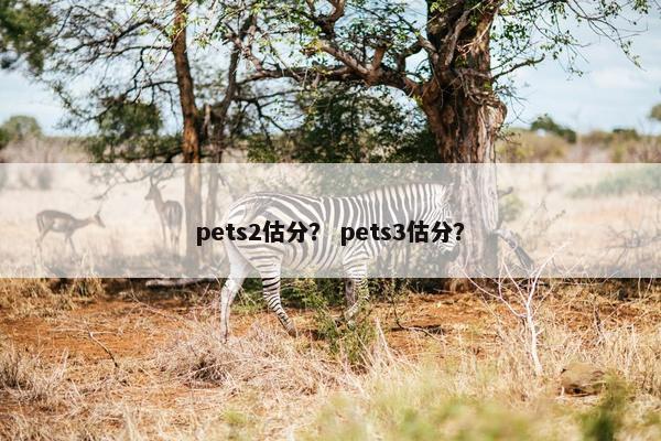 pets2估分？ pets3估分？