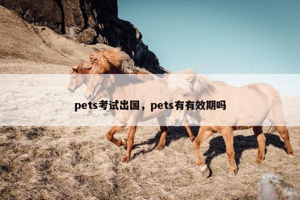 pets考试出国，pets有有效期吗