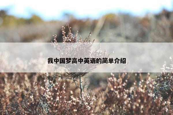 我中国梦高中英语的简单介绍