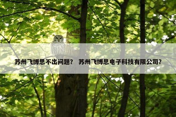 苏州飞博思不出问题？ 苏州飞博思电子科技有限公司？