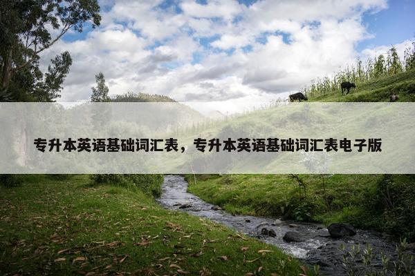 专升本英语基础词汇表，专升本英语基础词汇表电子版