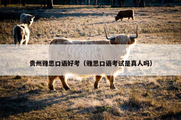 贵州雅思口语好考（雅思口语考试是真人吗）