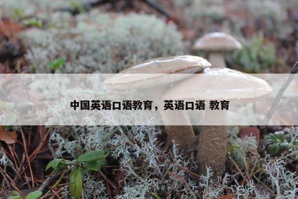 中国英语口语教育，英语口语 教育