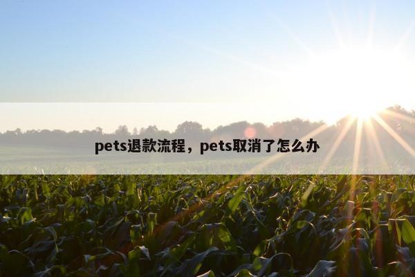 pets退款流程，pets取消了怎么办