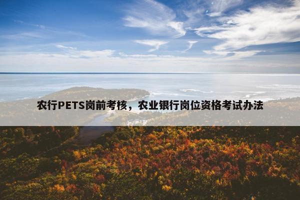 农行PETS岗前考核，农业银行岗位资格考试办法