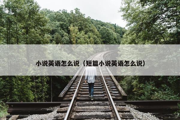 小说英语怎么说（短篇小说英语怎么说）