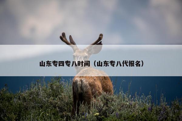山东专四专八时间（山东专八代报名）