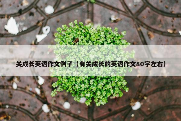 关成长英语作文例子（有关成长的英语作文80字左右）
