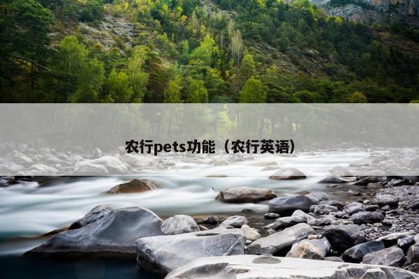 农行pets功能（农行英语）