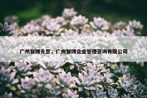 广州智博先思，广州智博企业管理咨询有限公司