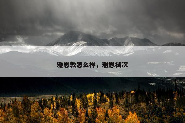 雅思敦怎么样，雅思档次