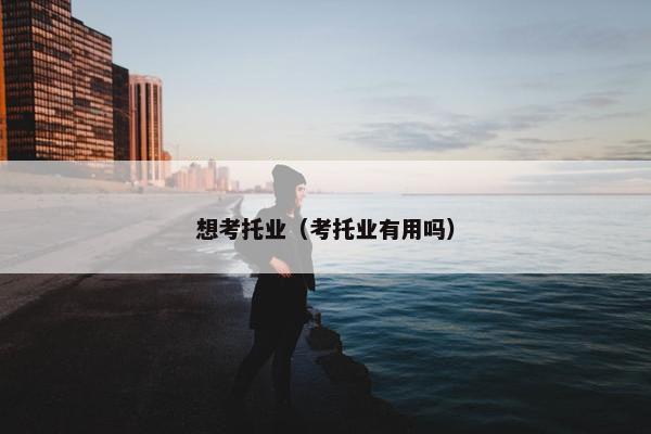 想考托业（考托业有用吗）