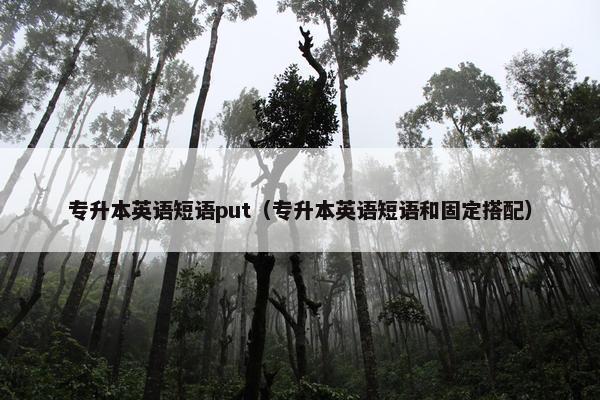 专升本英语短语put（专升本英语短语和固定搭配）