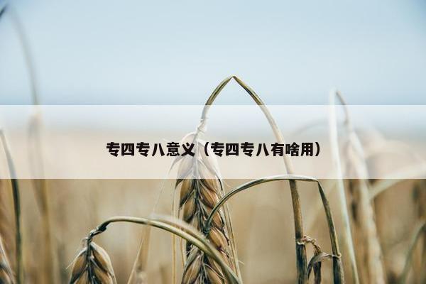 专四专八意义（专四专八有啥用）
