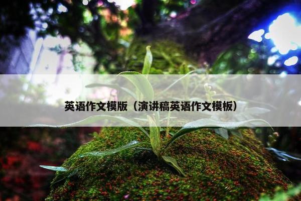 英语作文模版（演讲稿英语作文模板）