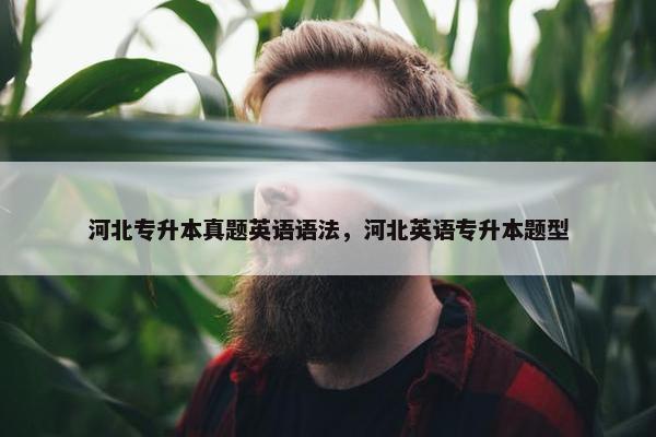 河北专升本真题英语语法，河北英语专升本题型