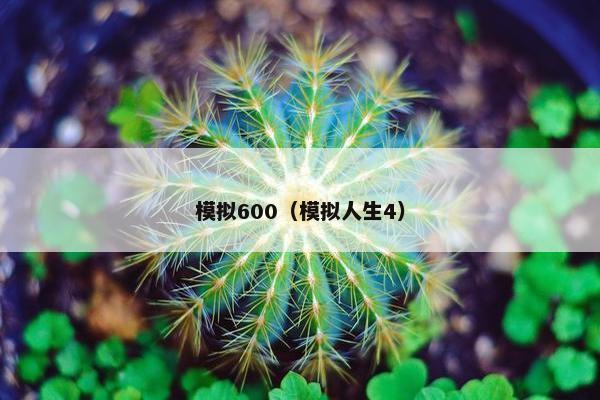 模拟600（模拟人生4）