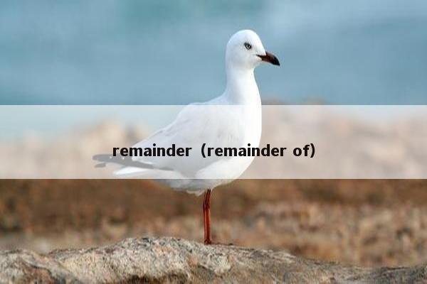 remainder（remainder of）