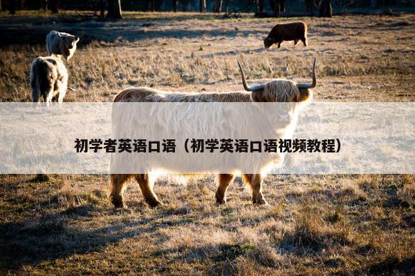 初学者英语口语（初学英语口语视频教程）