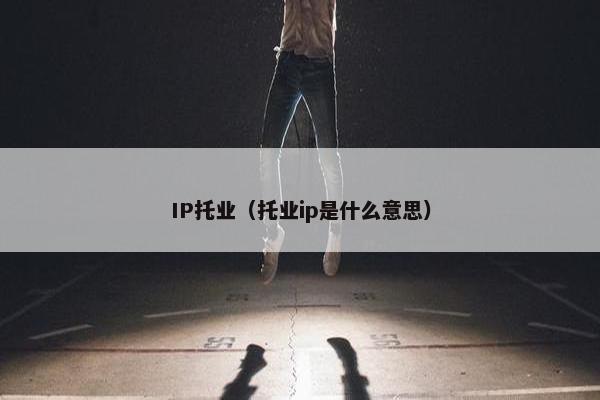 IP托业（托业ip是什么意思）