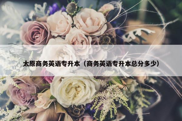太原商务英语专升本（商务英语专升本总分多少）