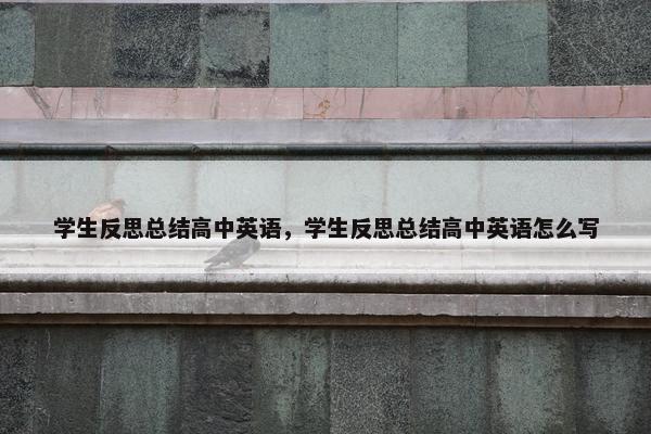 学生反思总结高中英语，学生反思总结高中英语怎么写