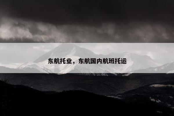 东航托业，东航国内航班托运