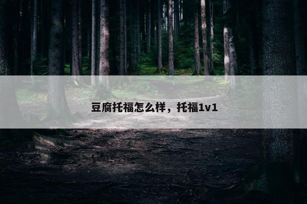 豆腐托福怎么样，托福1v1