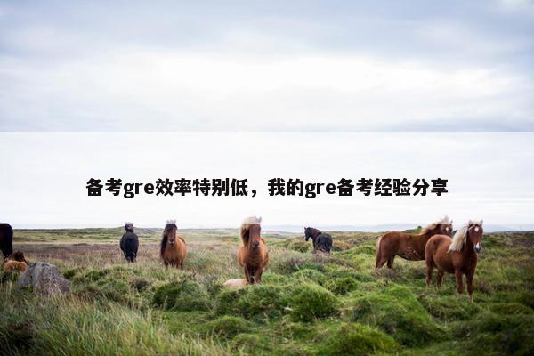 备考gre效率特别低，我的gre备考经验分享