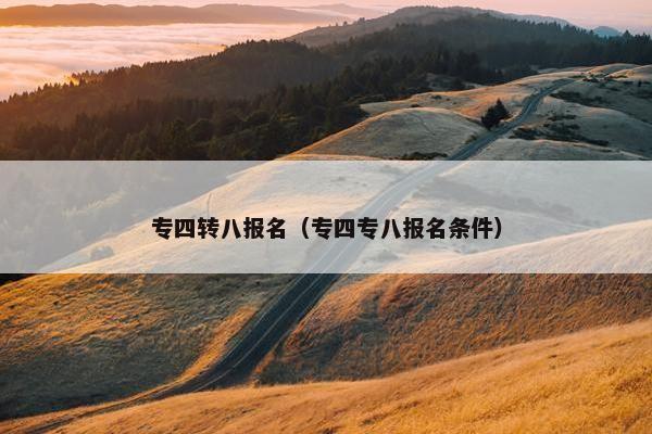 专四转八报名（专四专八报名条件）