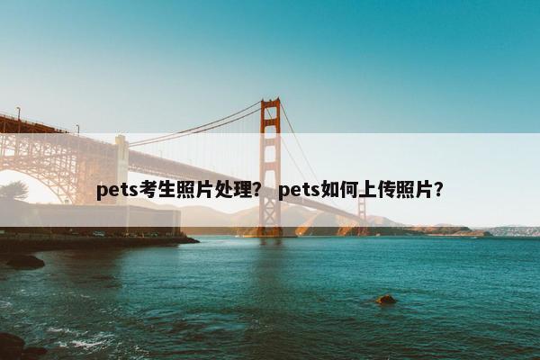 pets考生照片处理？ pets如何上传照片？