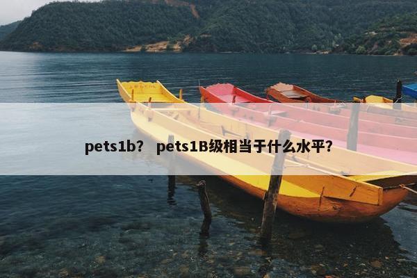 pets1b？ pets1B级相当于什么水平？