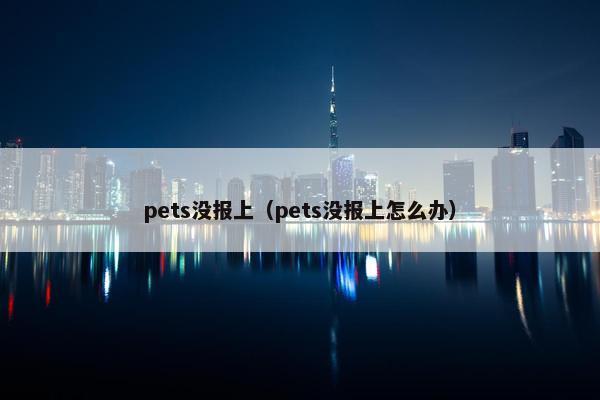 pets没报上（pets没报上怎么办）