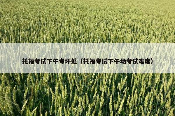 托福考试下午考坏处（托福考试下午场考试难度）