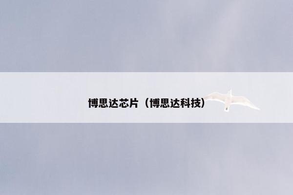 博思达芯片（博思达科技）