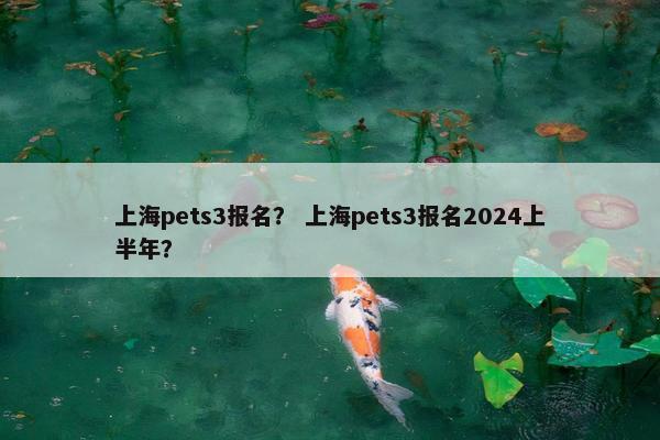 上海pets3报名？ 上海pets3报名2024上半年？