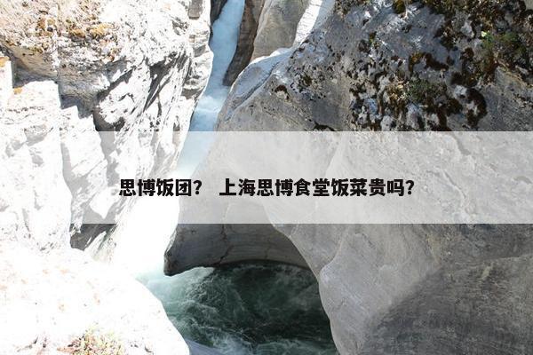 思博饭团？ 上海思博食堂饭菜贵吗？