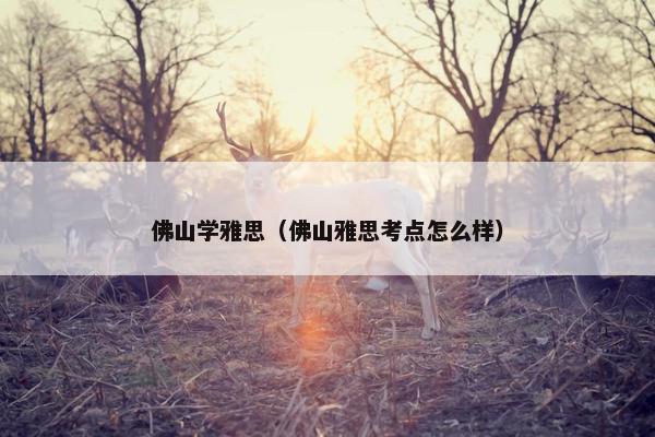 佛山学雅思（佛山雅思考点怎么样）
