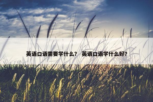 英语口语需要学什么？ 英语口语学什么好？