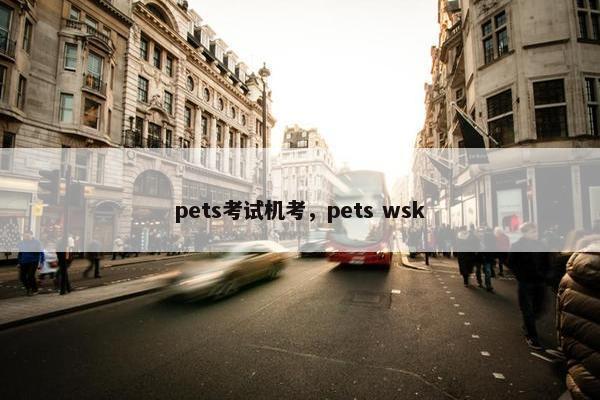 pets考试机考，pets wsk