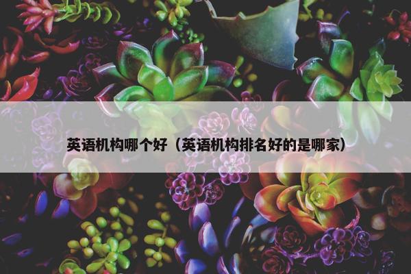 英语机构哪个好（英语机构排名好的是哪家）