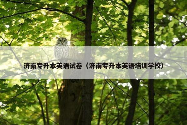 济南专升本英语试卷（济南专升本英语培训学校）