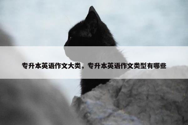 专升本英语作文大类，专升本英语作文类型有哪些
