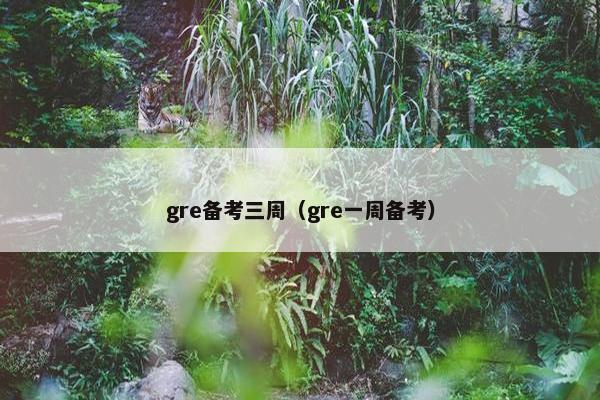 gre备考三周（gre一周备考）