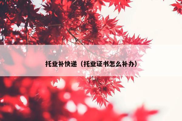托业补快递（托业证书怎么补办）