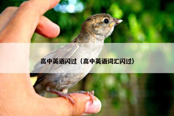 高中英语闪过（高中英语词汇闪过）