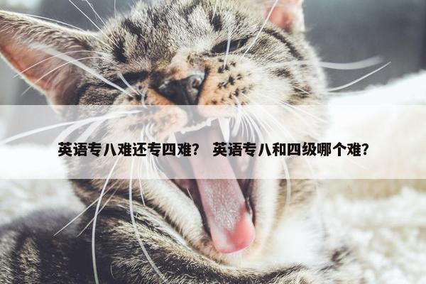 英语专八难还专四难？ 英语专八和四级哪个难？